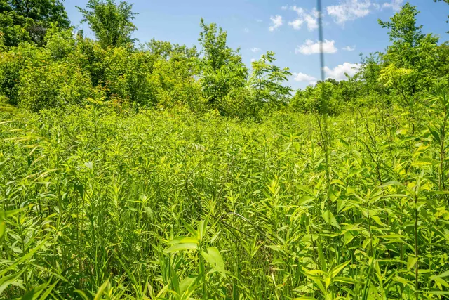 $382,500 | 0 South Crazy Hollow Road, Hanover, IL 61041