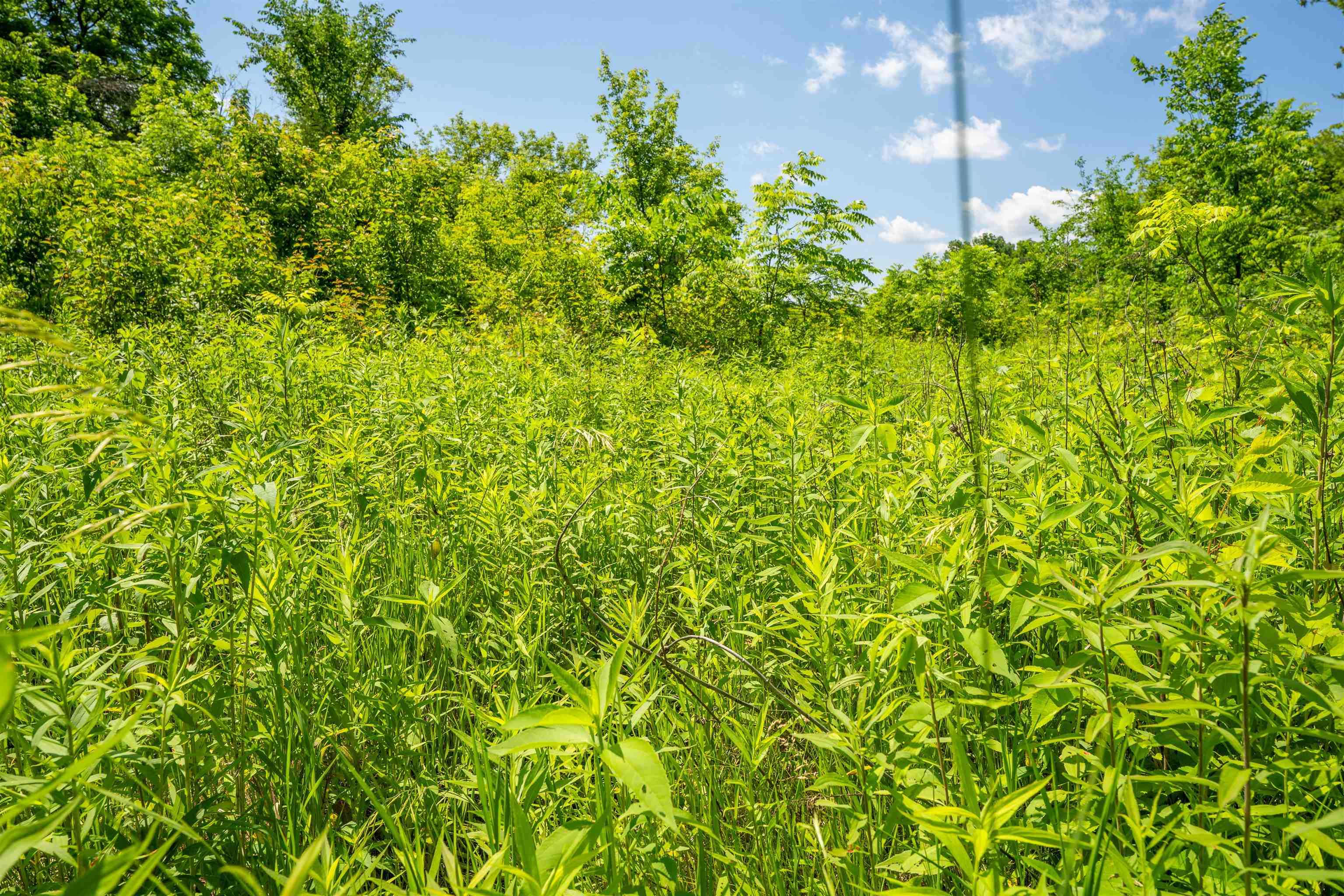 0 South Crazy Hollow Road Hanover, IL 61041 - Photo 68 of 98