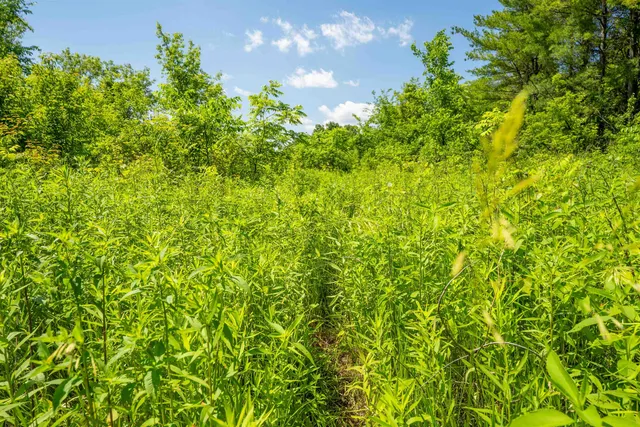 $382,500 | 0 South Crazy Hollow Road, Hanover, IL 61041