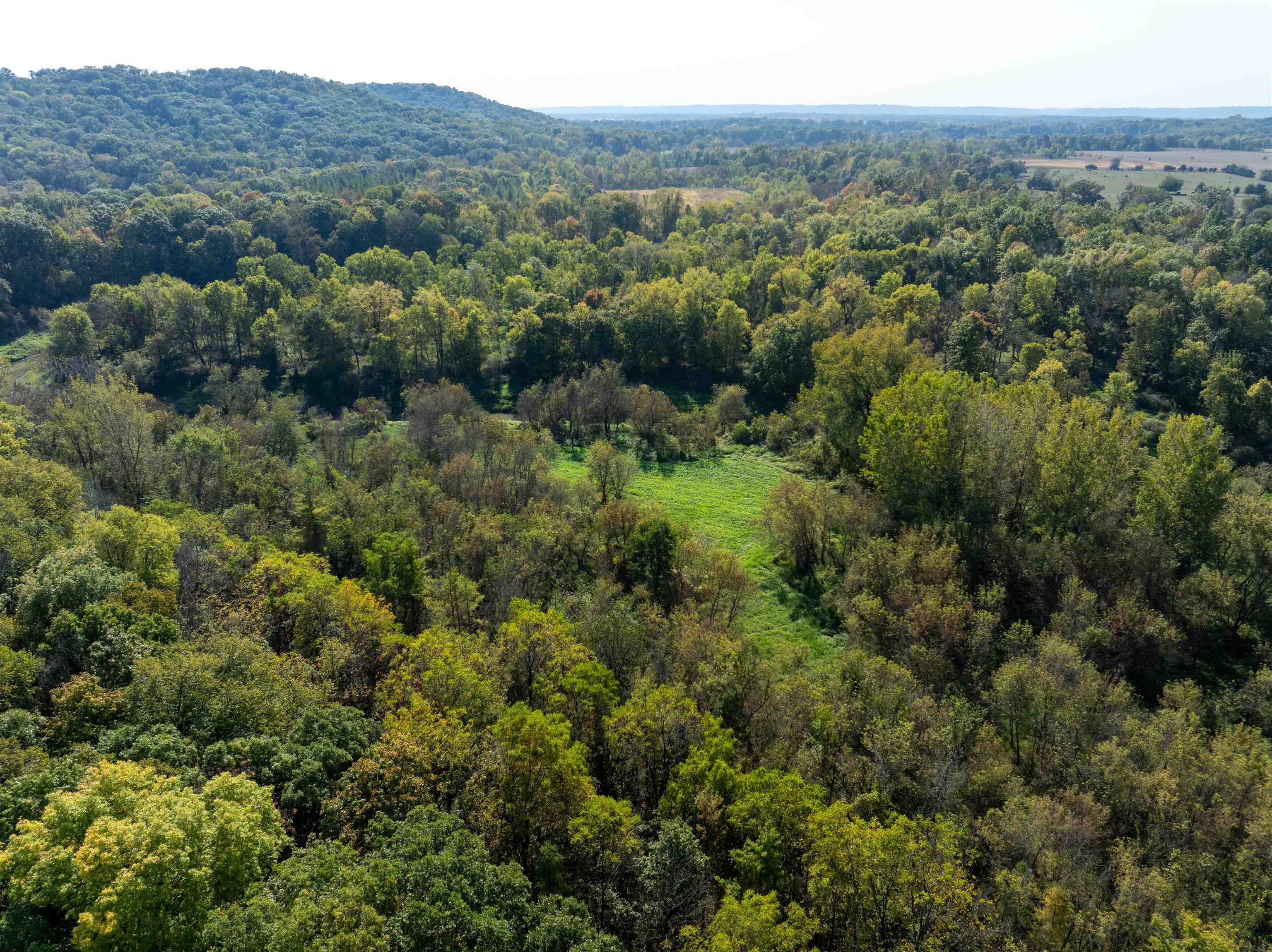0 South Crazy Hollow Road Hanover, IL 61041 - Photo 7 of 98 a view of a city with lush green forest