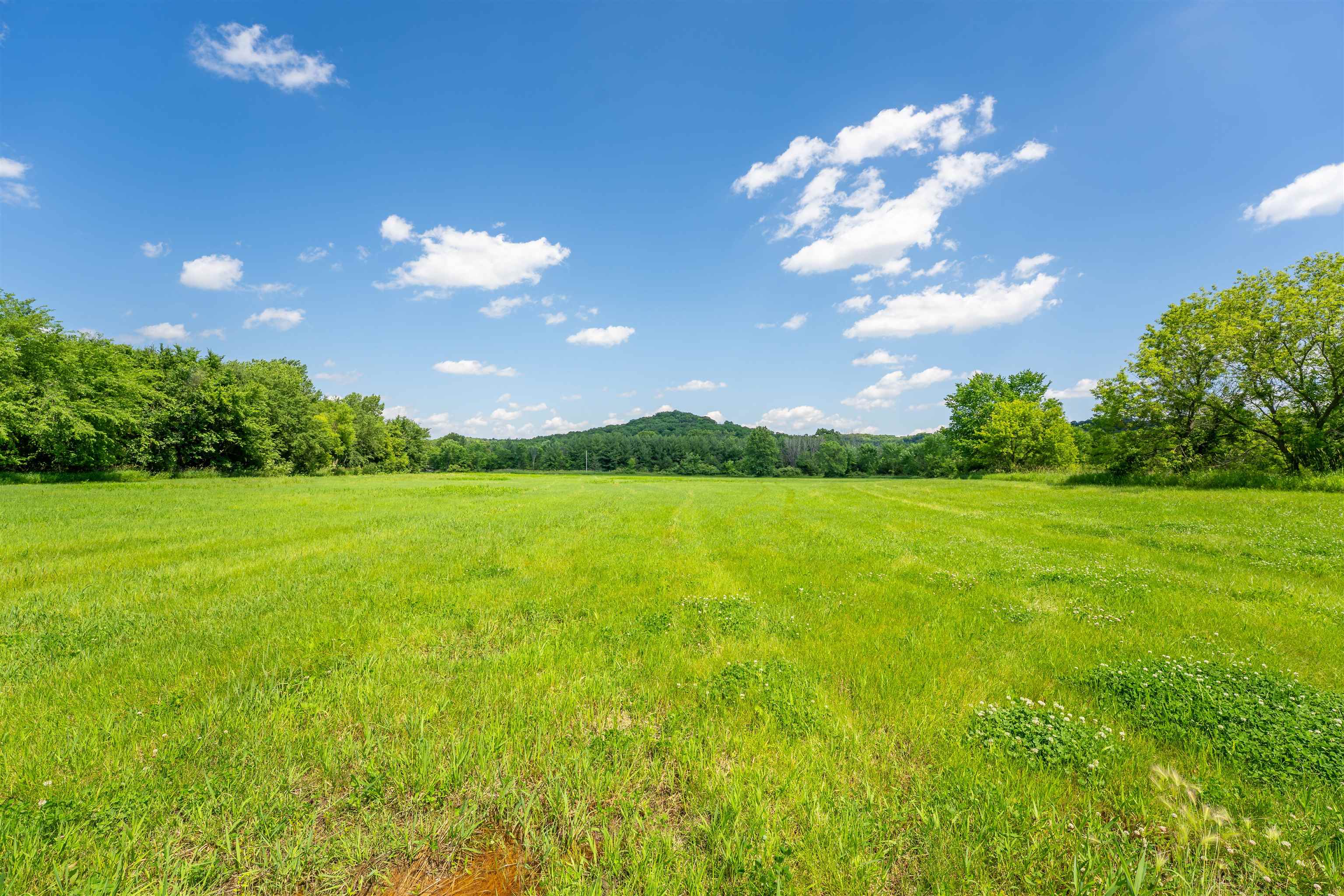 0 South Crazy Hollow Road Hanover, IL 61041 - Photo 73 of 98 a view of a big yard with a large tree