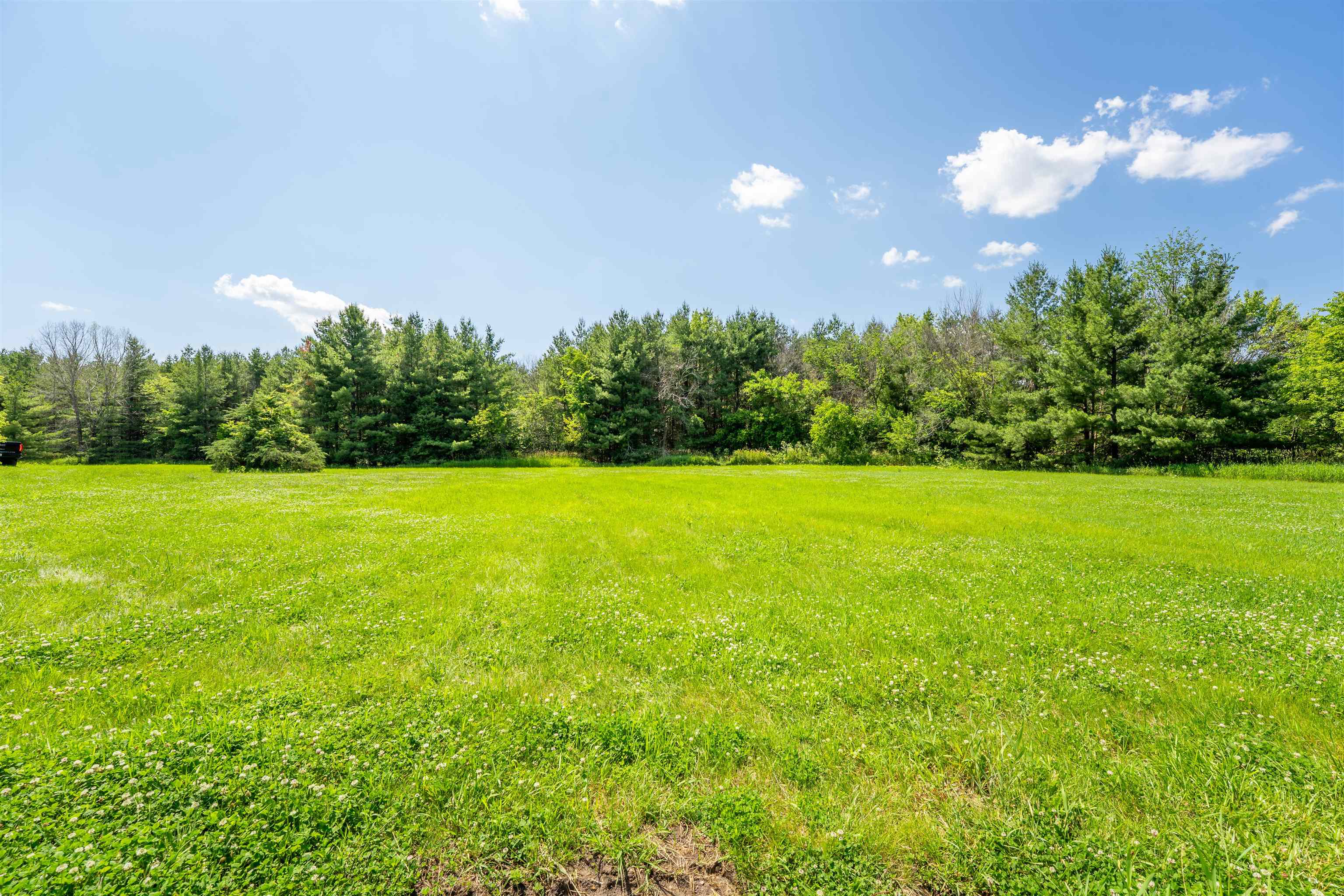 0 South Crazy Hollow Road Hanover, IL 61041 - Photo 74 of 98 a view of a green field with palm trees in the background
