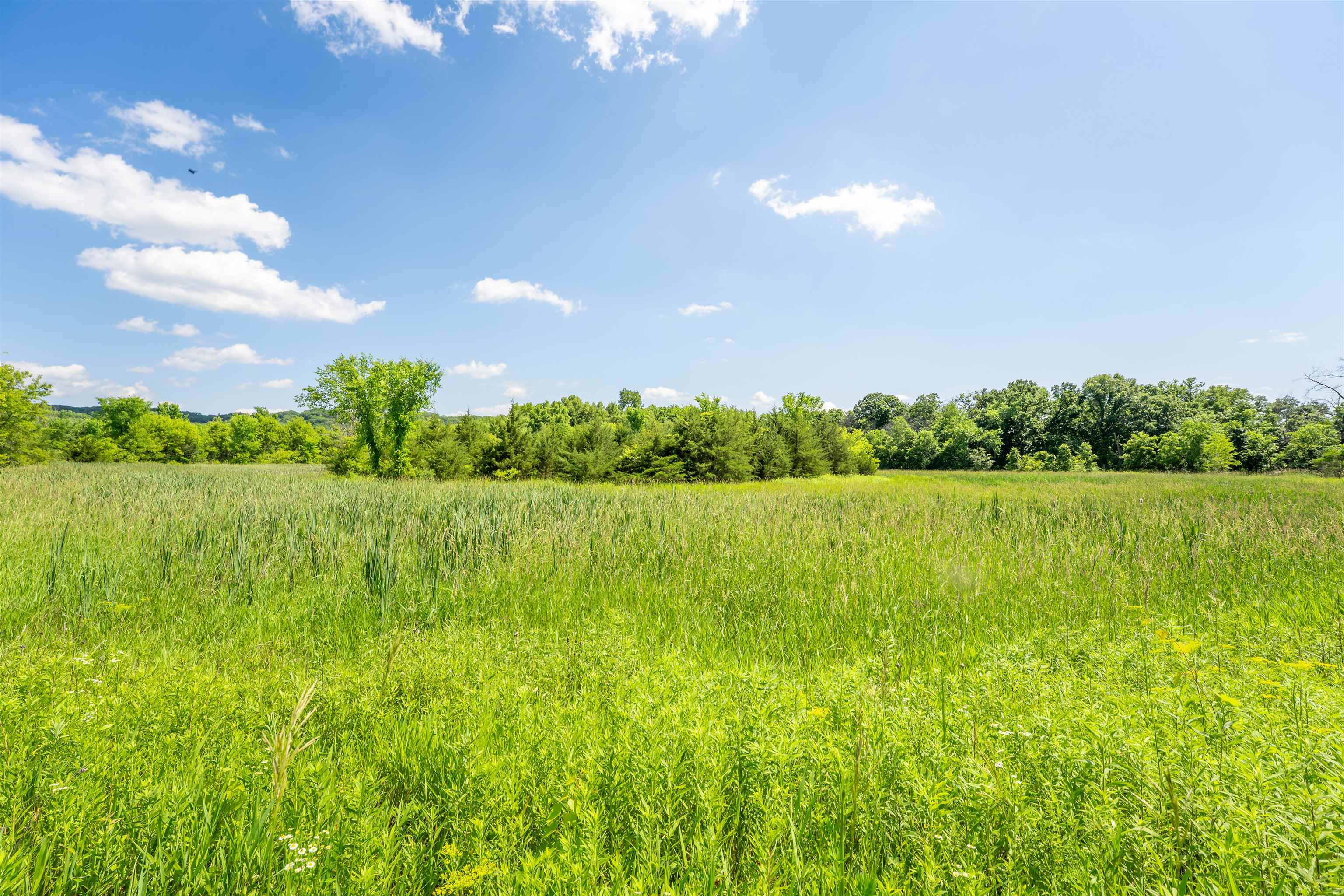 0 South Crazy Hollow Road Hanover, IL 61041 - Photo 79 of 98 a view of lake with green space
