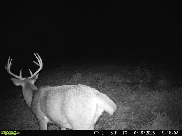 0 South Crazy Hollow Road Hanover, IL 61041 - Photo 80 of 98 a view of dining room cabinets and a wooden floor