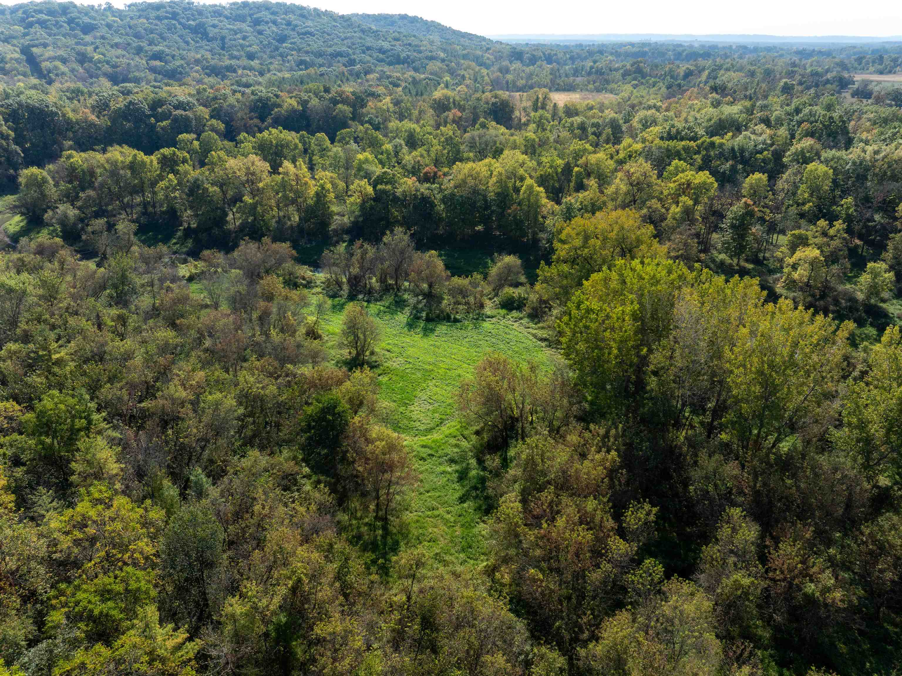 0 South Crazy Hollow Road Hanover, IL 61041 - Photo 8 of 98