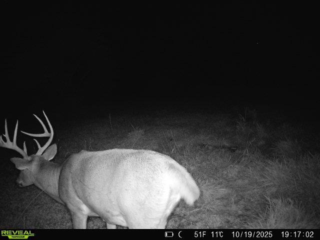 0 South Crazy Hollow Road Hanover, IL 61041 - Photo 81 of 98