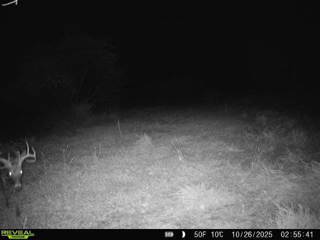 0 South Crazy Hollow Road Hanover, IL 61041 - Photo 83 of 98 a view of room