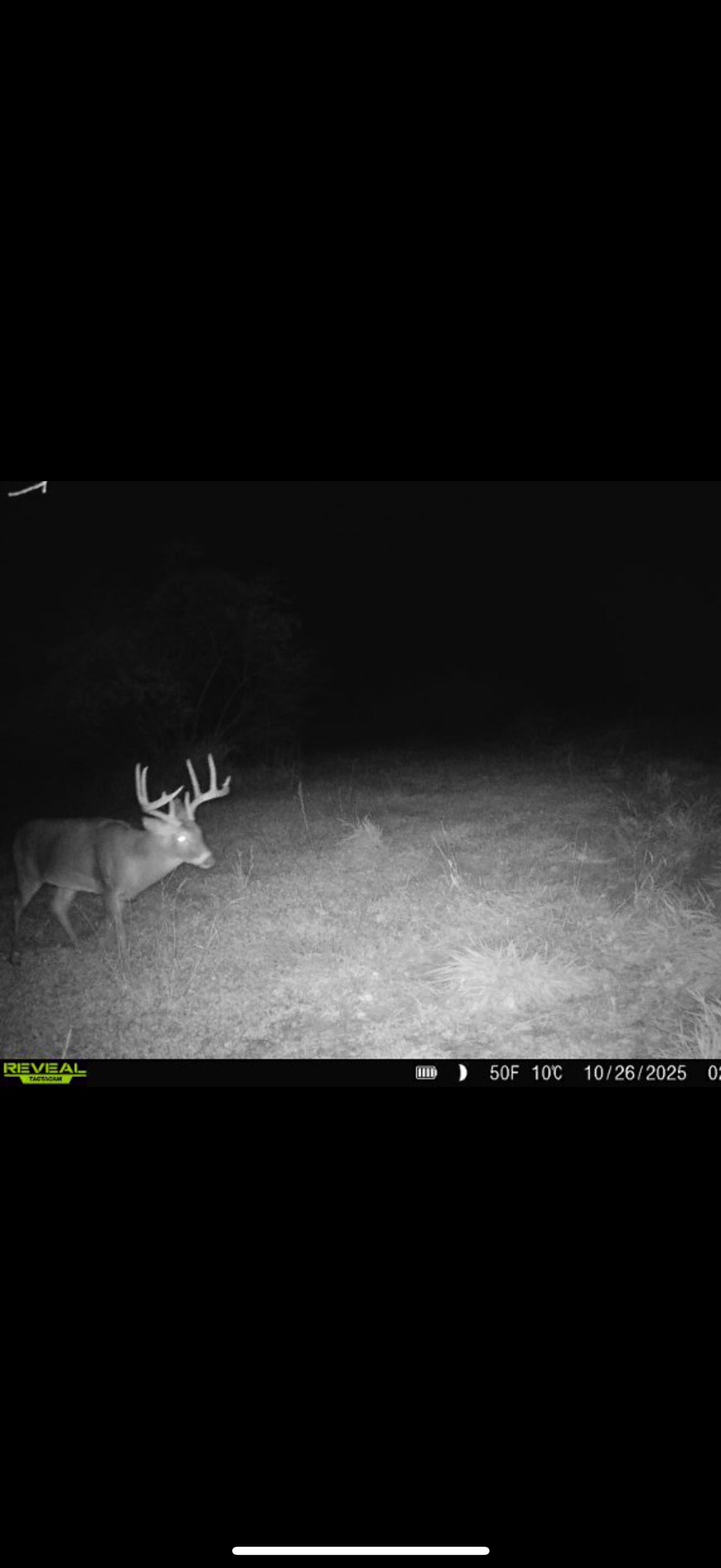 0 South Crazy Hollow Road Hanover, IL 61041 - Photo 84 of 98 a view of wooden floor and a potted plant