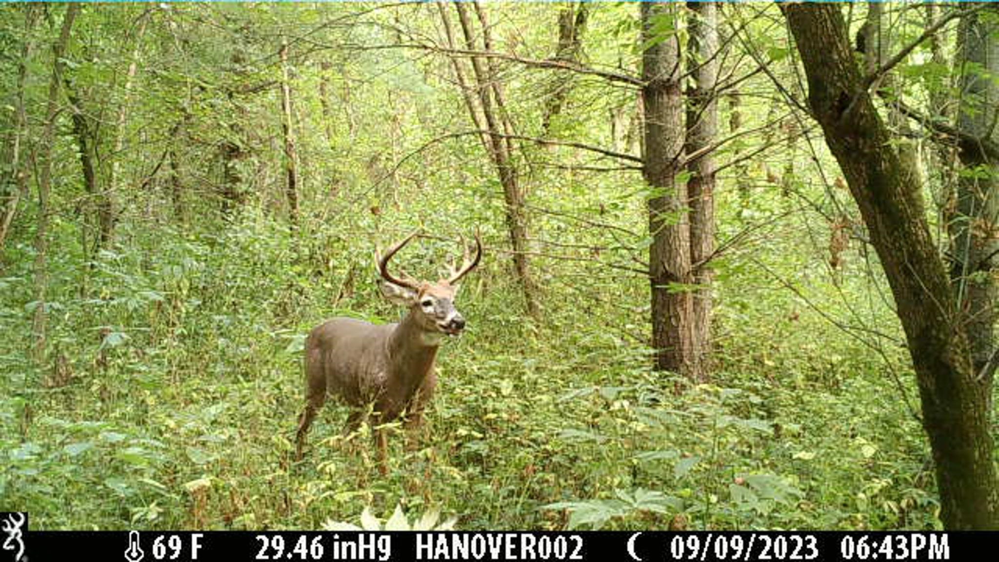 0 South Crazy Hollow Road Hanover, IL 61041 - Photo 85 of 98