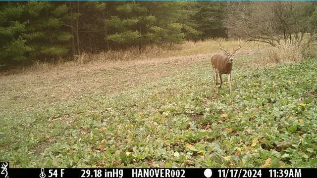 $382,500 | 0 South Crazy Hollow Road, Hanover, IL 61041