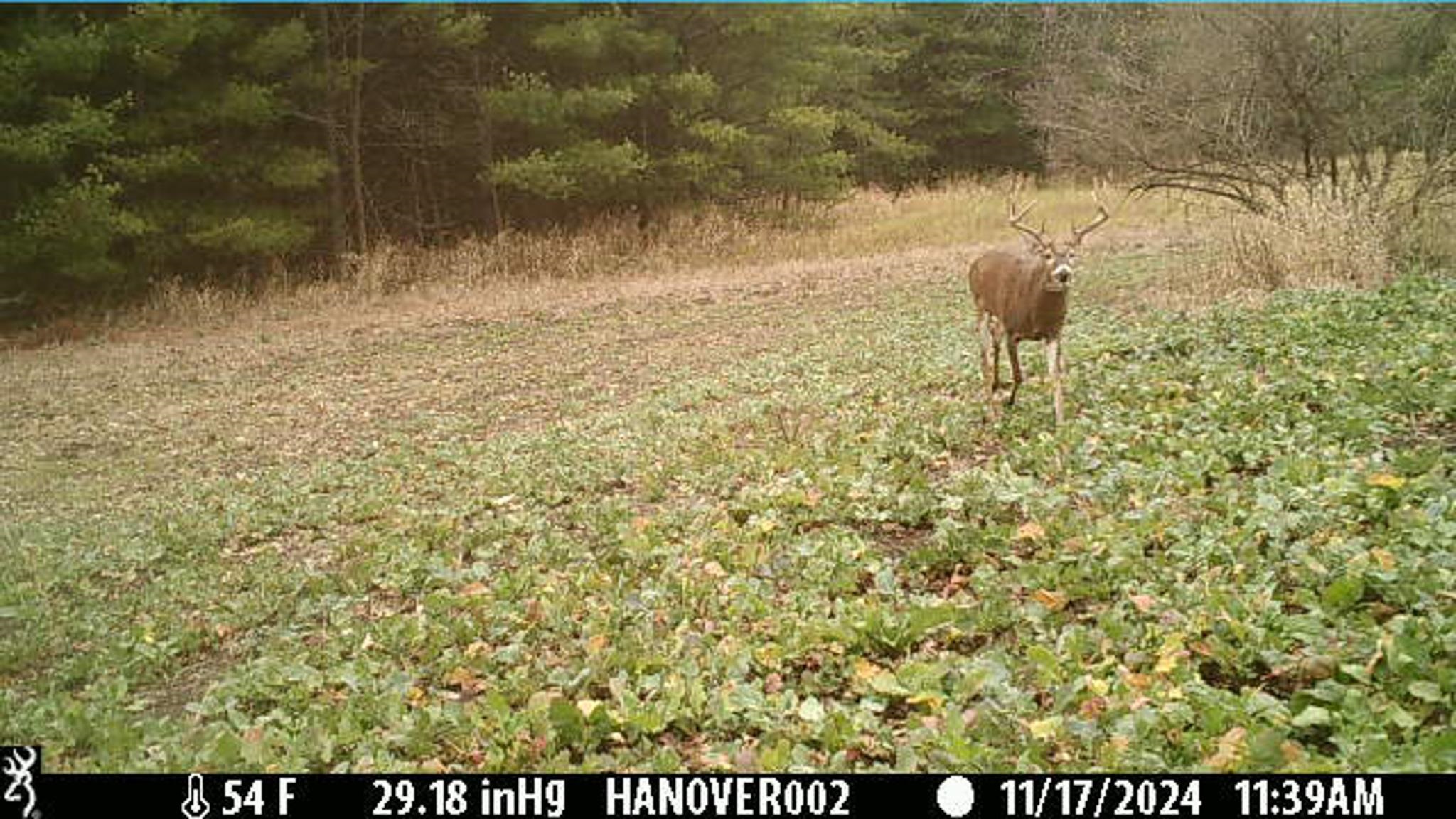 0 South Crazy Hollow Road Hanover, IL 61041 - Photo 86 of 98