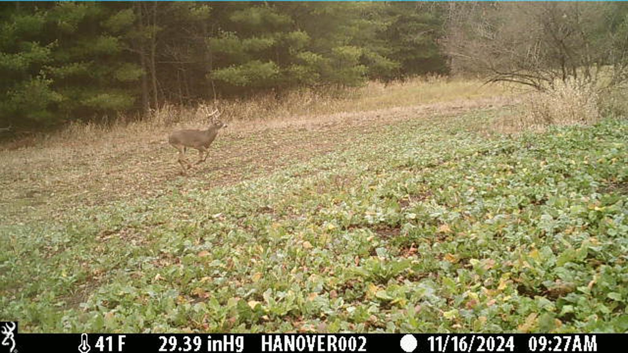 0 South Crazy Hollow Road Hanover, IL 61041 - Photo 87 of 98 a view of ocean