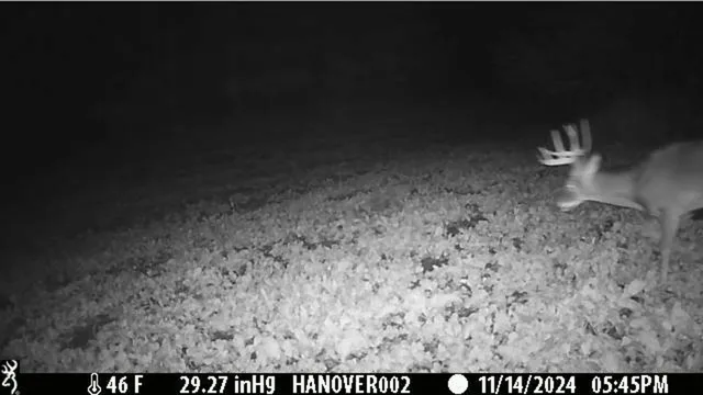 $382,500 | 0 South Crazy Hollow Road, Hanover, IL 61041