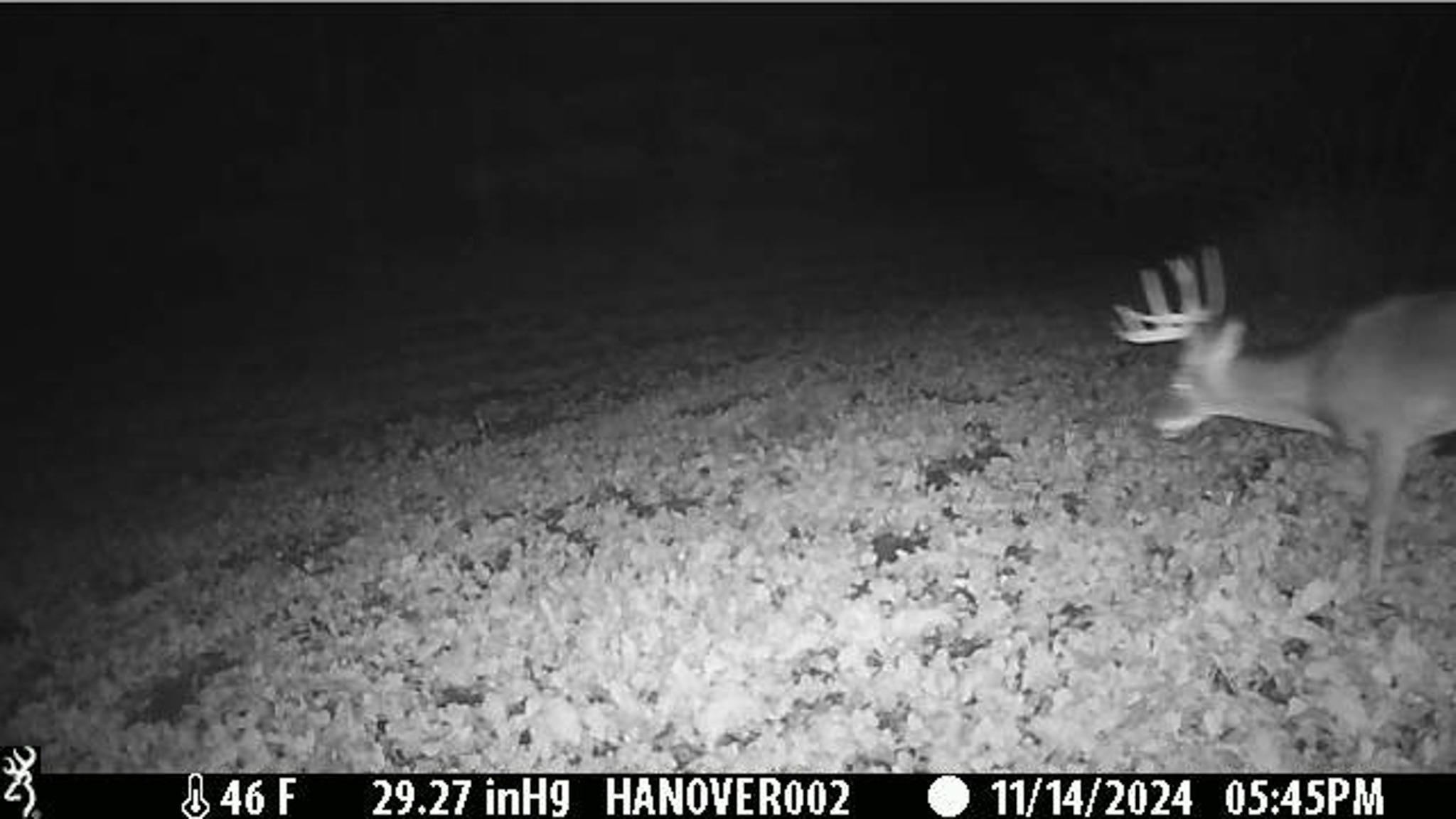 0 South Crazy Hollow Road Hanover, IL 61041 - Photo 88 of 98 a view of empty room