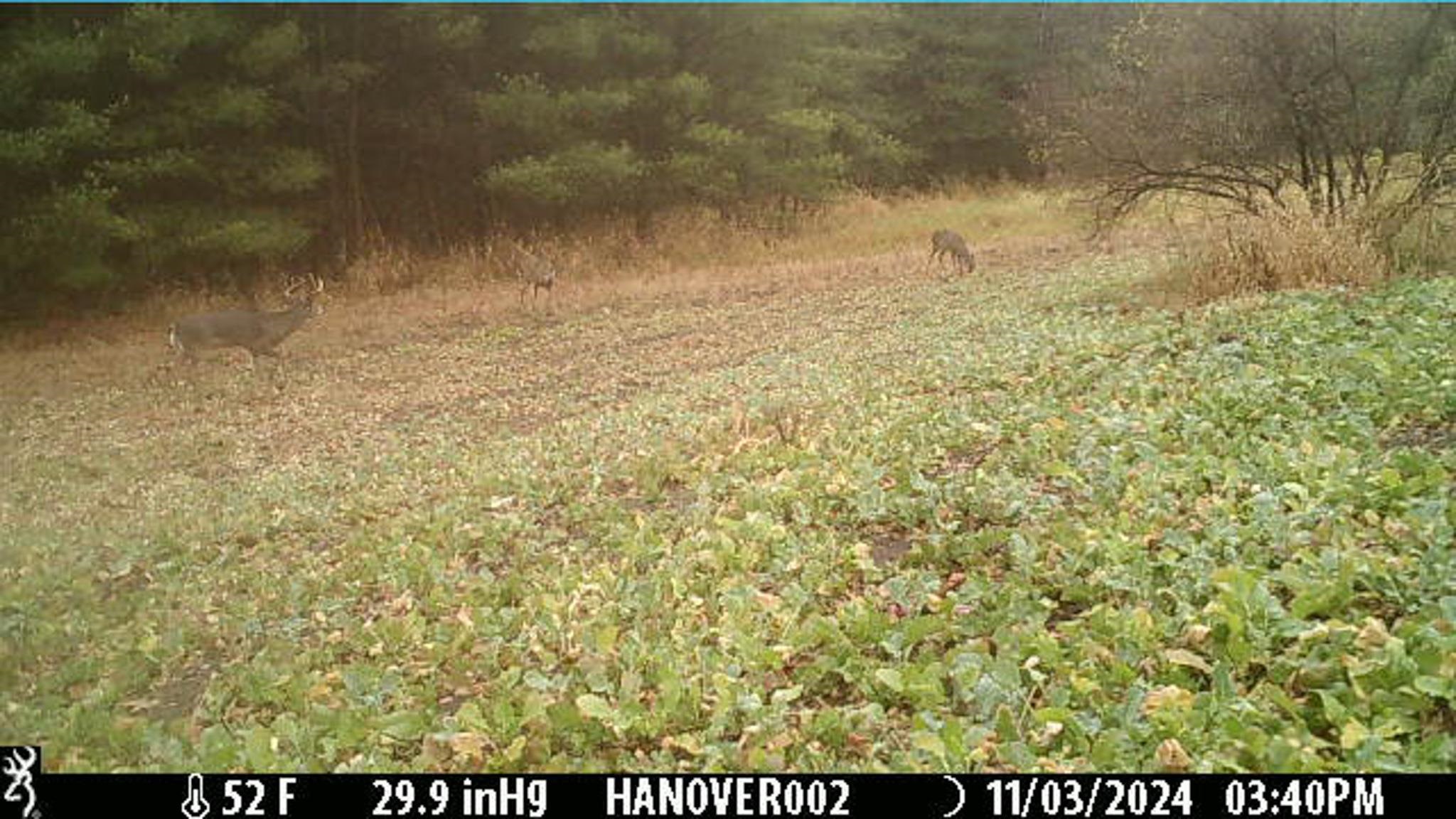 0 South Crazy Hollow Road Hanover, IL 61041 - Photo 89 of 98