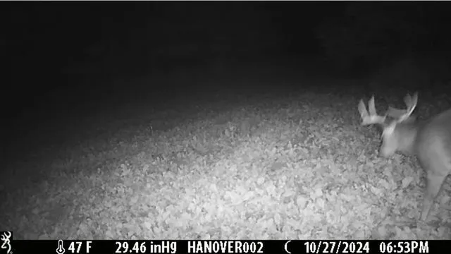 $382,500 | 0 South Crazy Hollow Road, Hanover, IL 61041