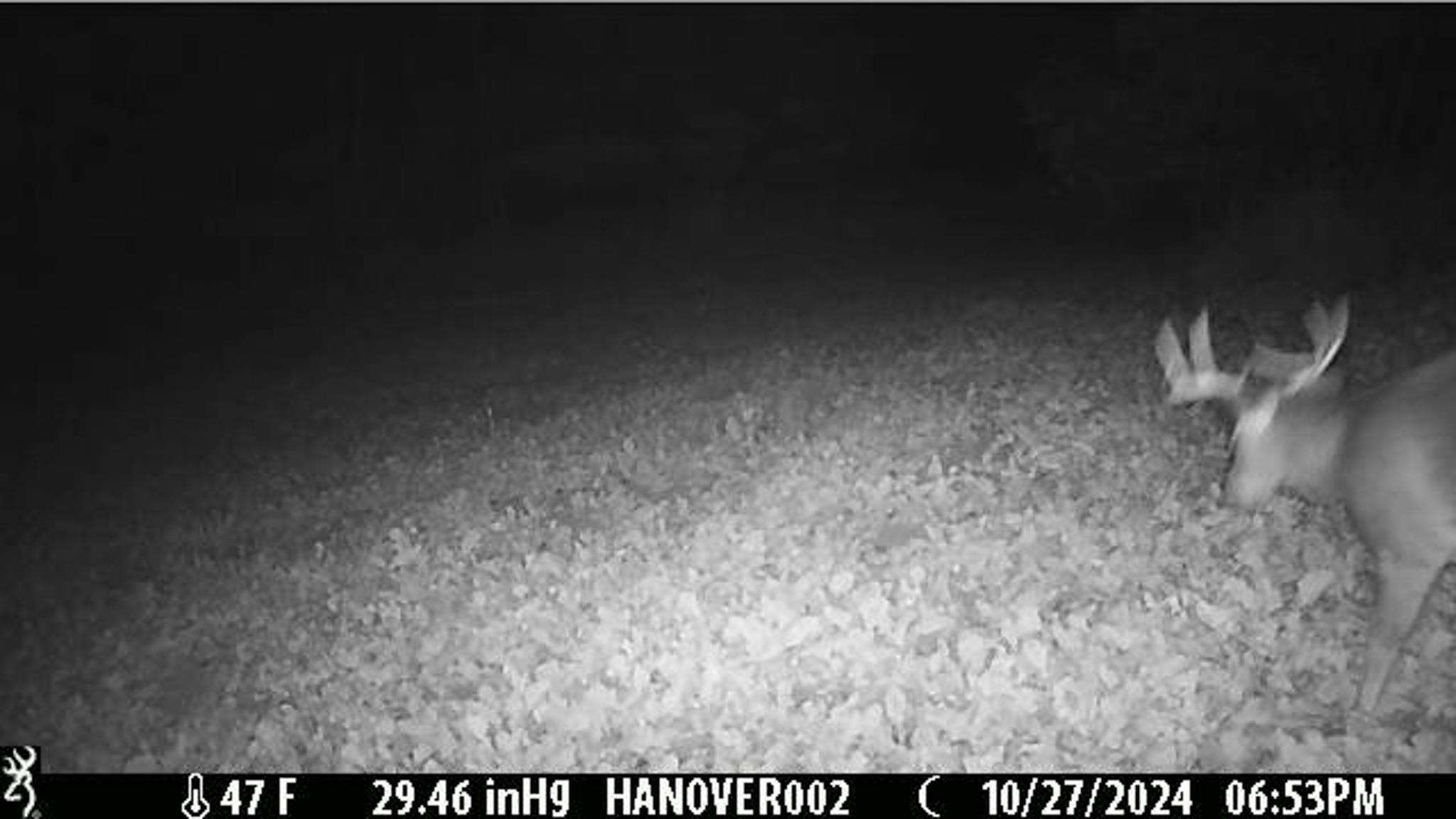 0 South Crazy Hollow Road Hanover, IL 61041 - Photo 90 of 98 a view of basement