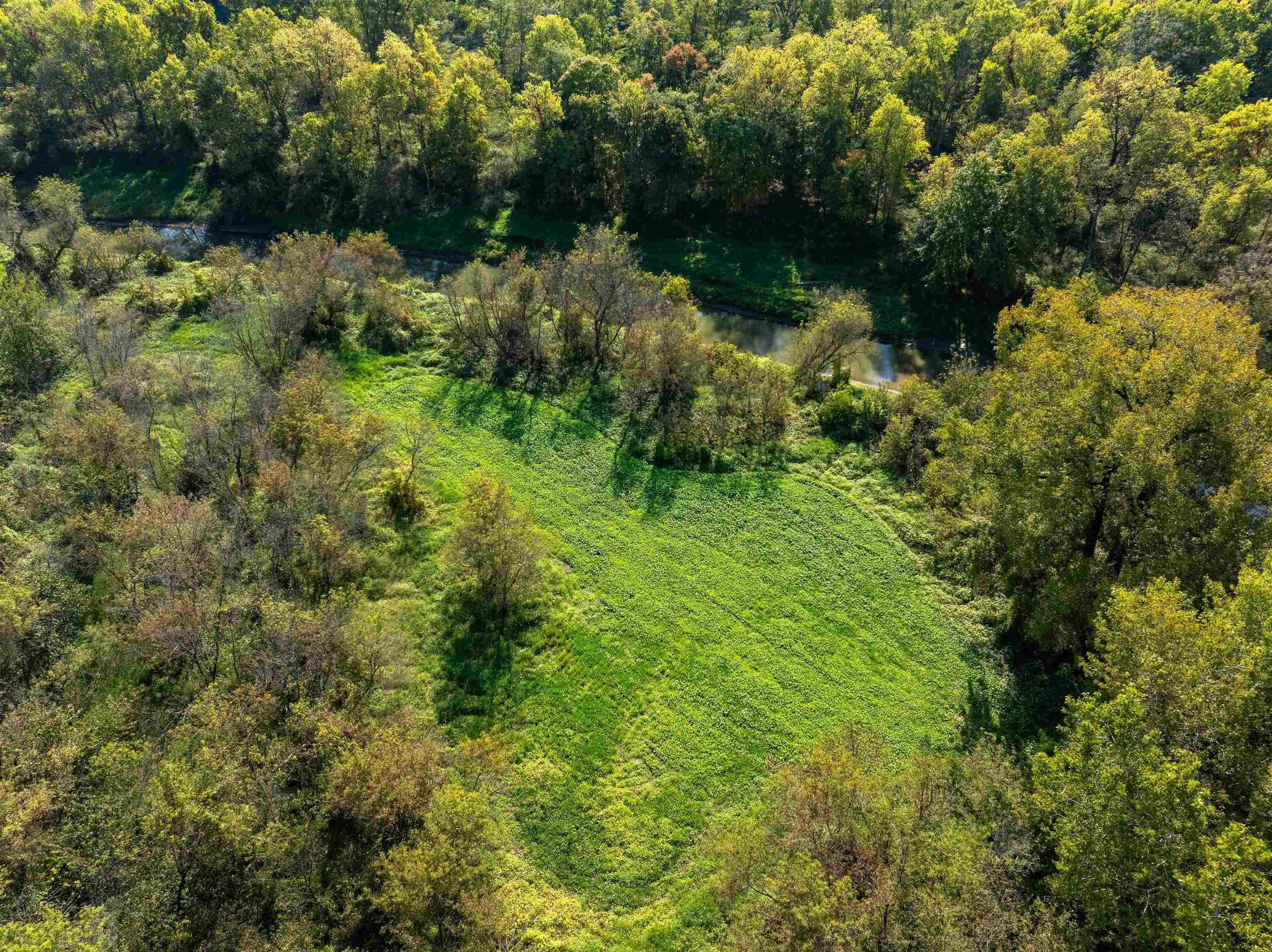 0 South Crazy Hollow Road Hanover, IL 61041 - Photo 9 of 98 a view of a lush green forest with lawn chairs and large trees