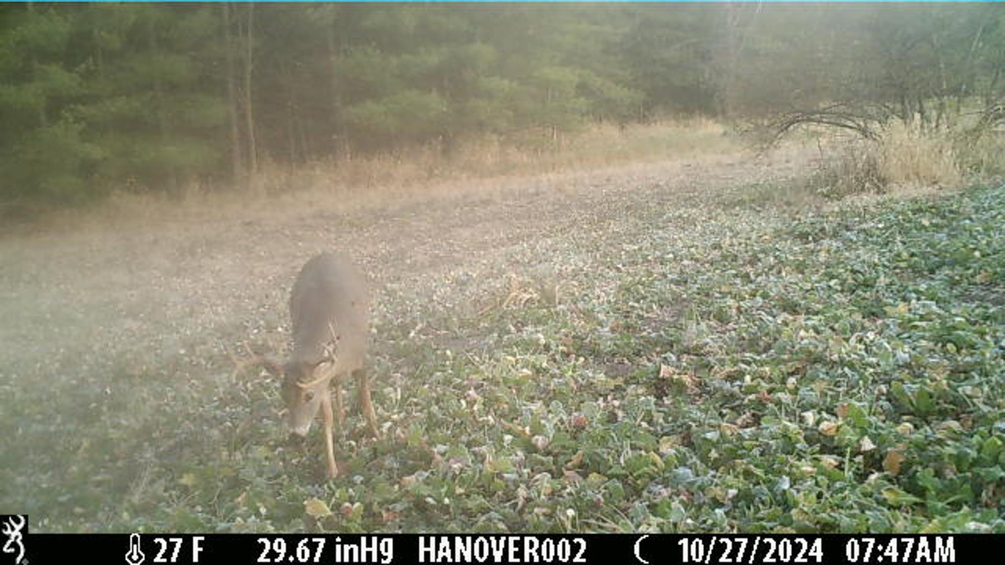 0 South Crazy Hollow Road Hanover, IL 61041 - Photo 91 of 98