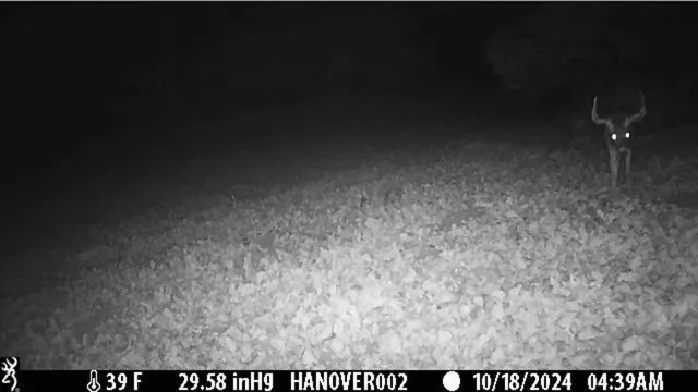 $382,500 | 0 South Crazy Hollow Road, Hanover, IL 61041