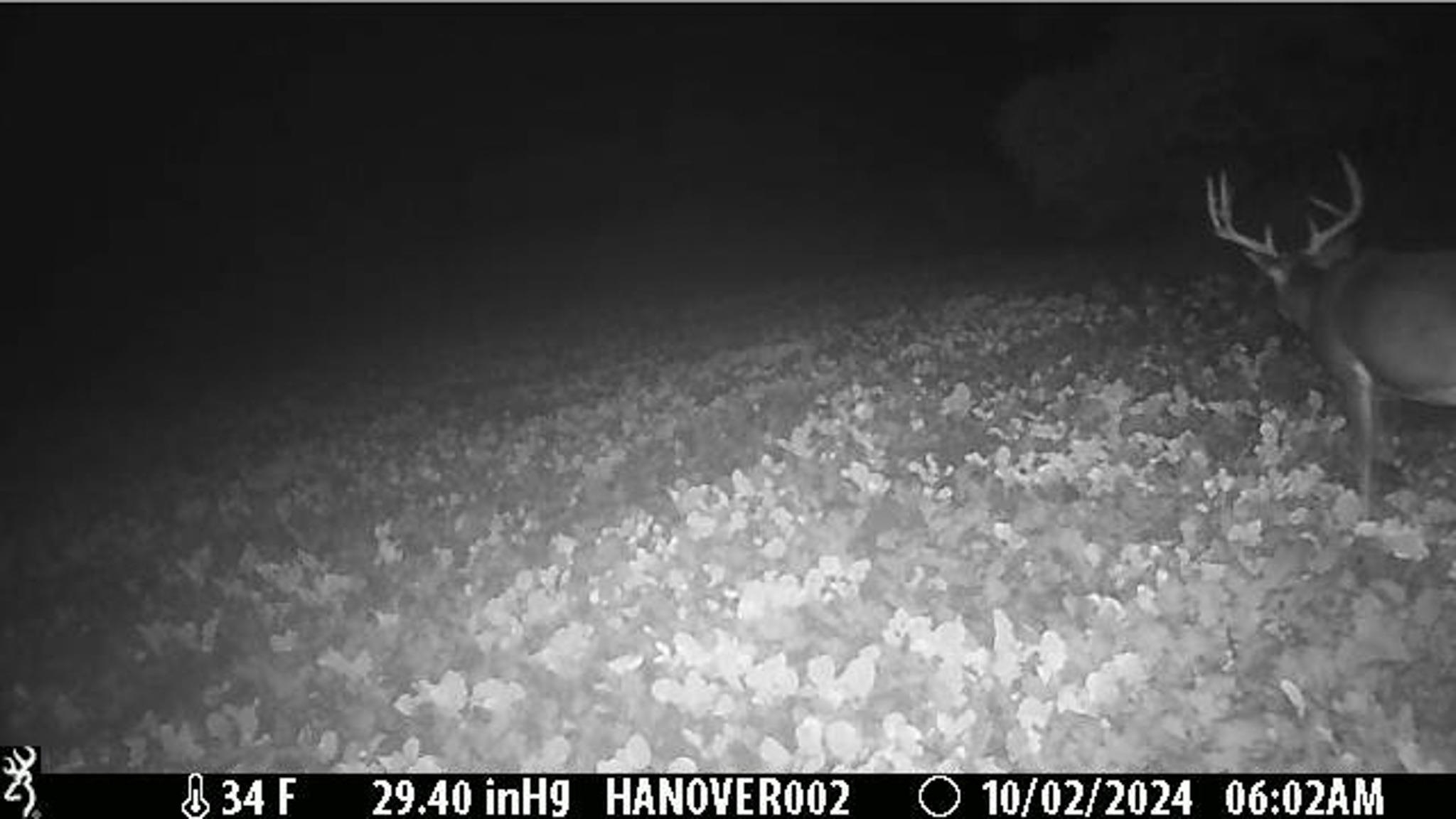 0 South Crazy Hollow Road Hanover, IL 61041 - Photo 93 of 98 a view of basement
