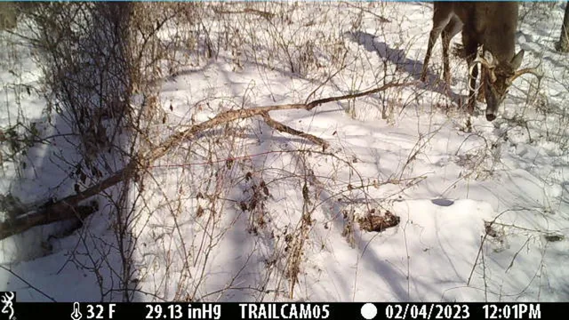 $382,500 | 0 South Crazy Hollow Road, Hanover, IL 61041