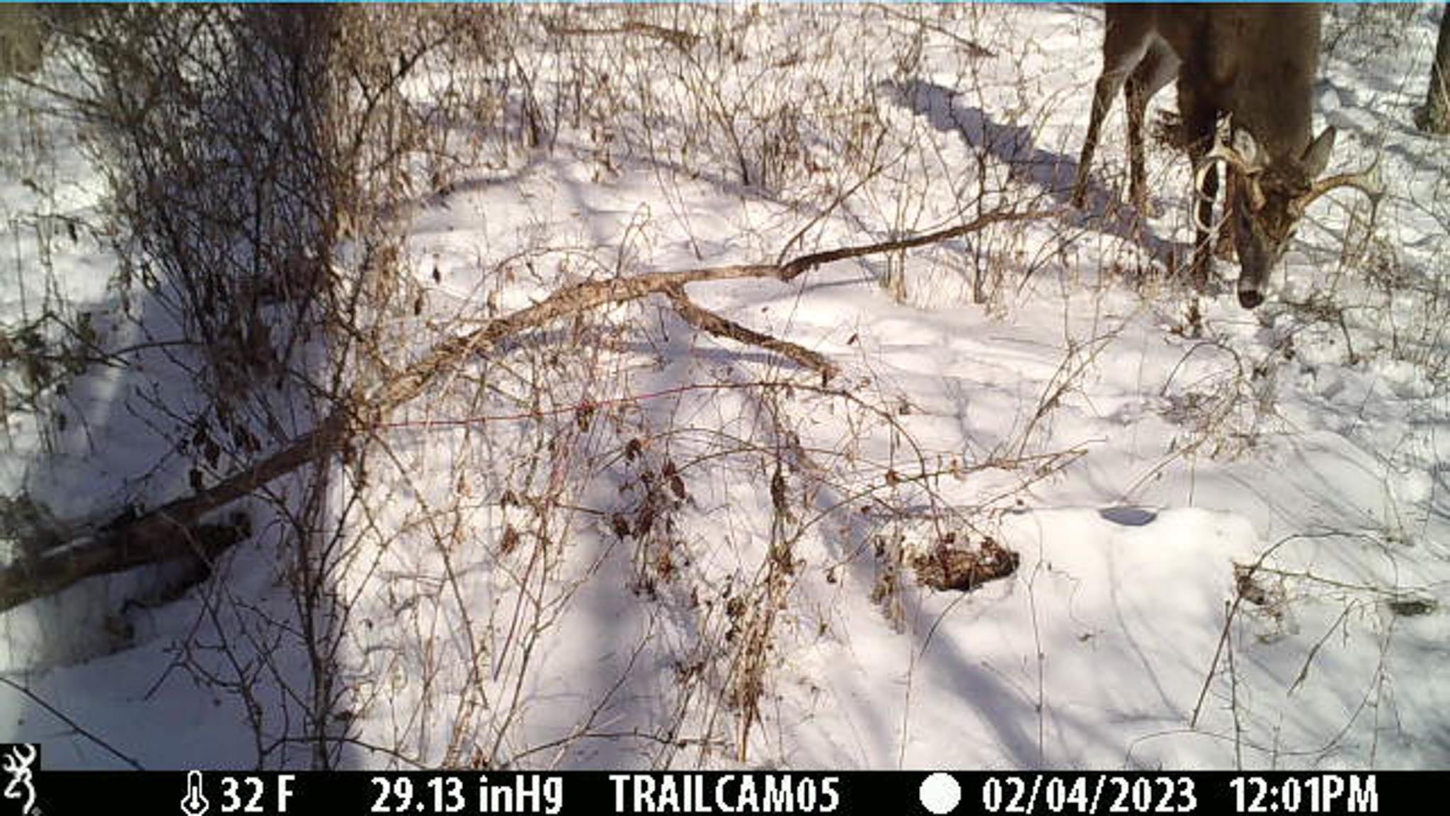 0 South Crazy Hollow Road Hanover, IL 61041 - Photo 94 of 98