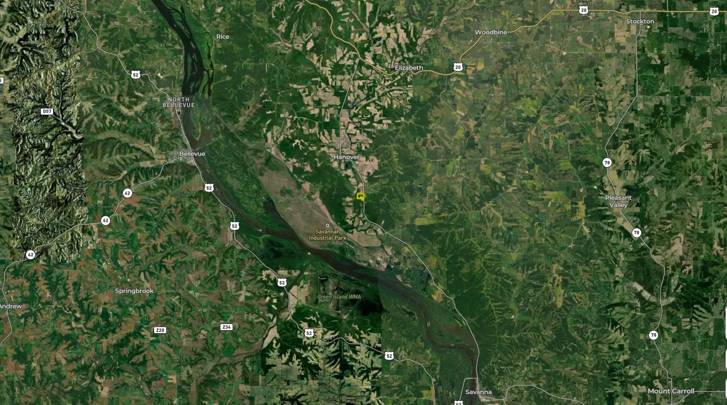 0 South Crazy Hollow Road Hanover, IL 61041 - Photo 98 of 98 a view of a lush green forest