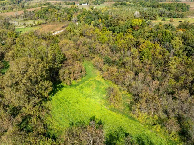 a view of a forest with a houses