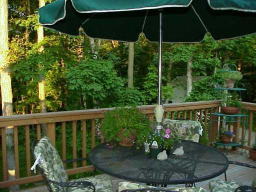 8177 Trail Ridge Dexter, MI 48130 - Photo 6 of 8 Photo 6