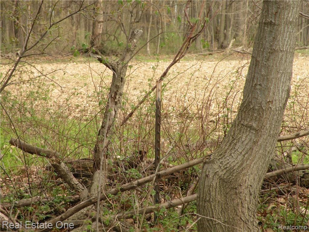 0 Mccormick Road Lapeer, MI 48446 - Photo 8 of 19