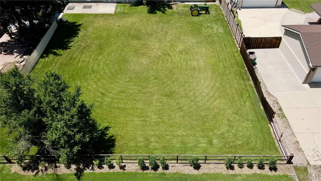 a view of a yard with plants
