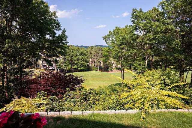 a view of a yard with flower plants and large tree