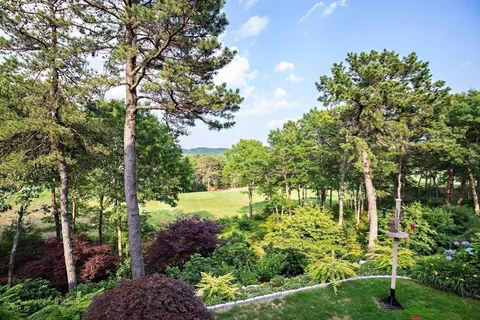 a view of outdoor space and yard