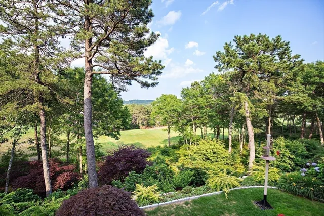 a view of outdoor space and yard