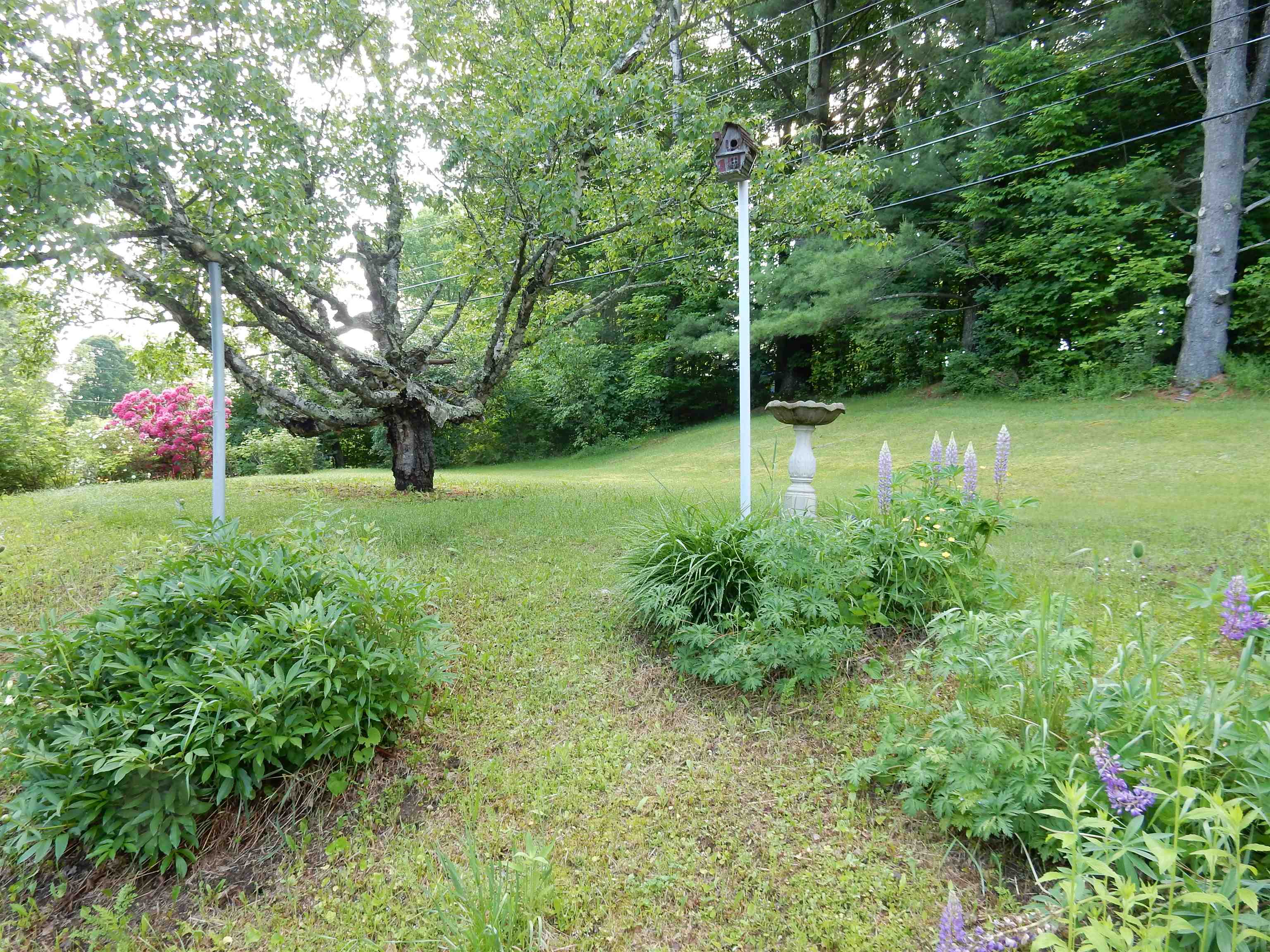 425 West Main Street Newport, VT 05855 - Photo 6 of 33