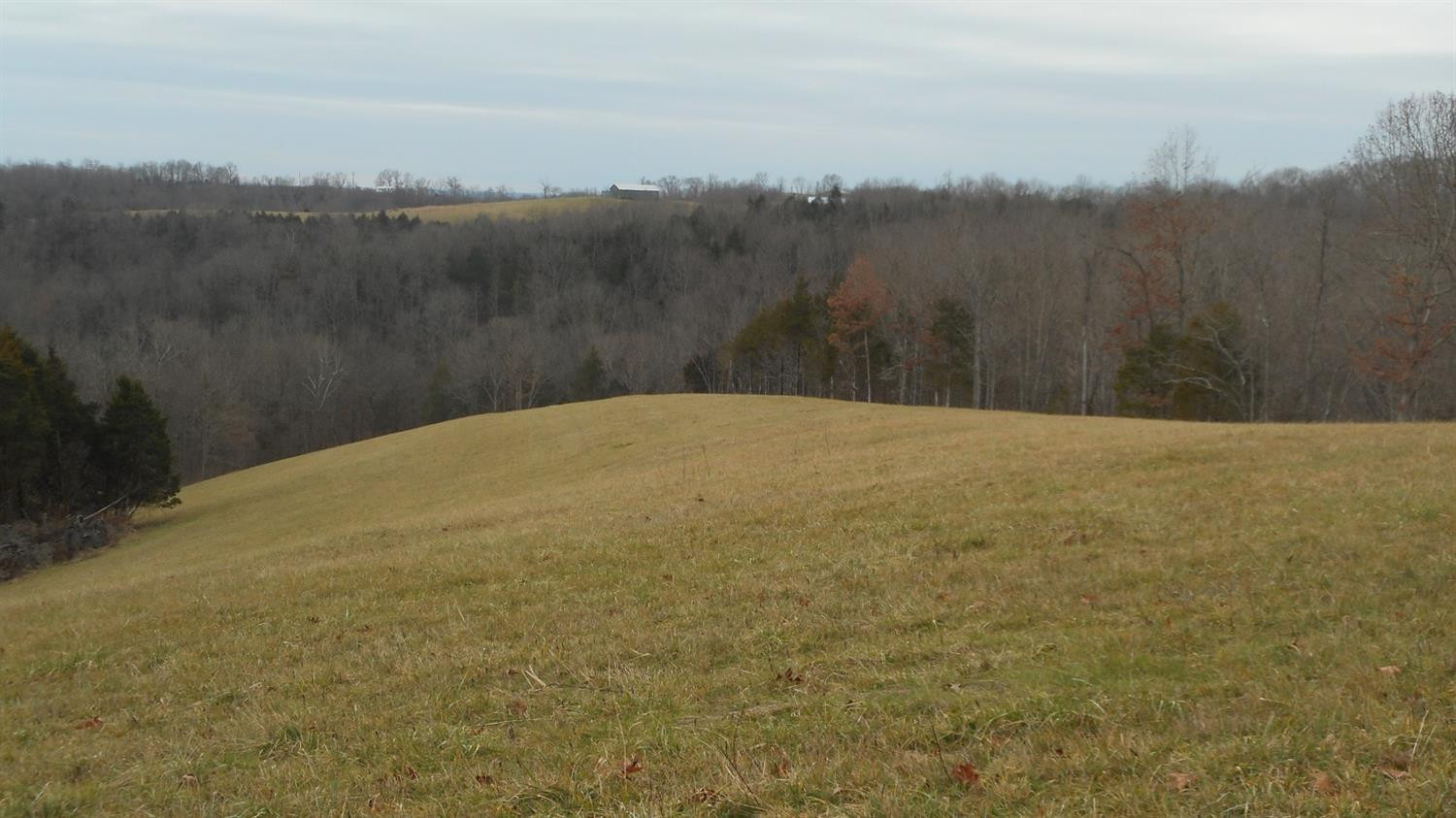 3 Ogden Ridge Road Mount Olivet, KY 41064 - Photo 3 of 6 Photo 3