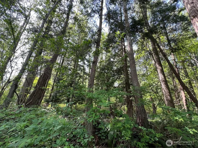 $899,000 | 50-acres 50-acres Lincoln And Shintaffer Road, Blaine, WA 98230