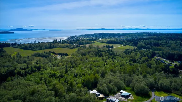 $899,000 | 50-acres 50-acres Lincoln And Shintaffer Road, Blaine, WA 98230