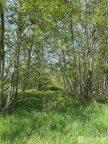 $899,000 | 50-acres 50-acres Lincoln And Shintaffer Road, Blaine, WA 98230