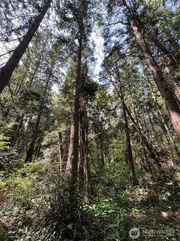 $899,000 | 50-acres 50-acres Lincoln And Shintaffer Road, Blaine, WA 98230