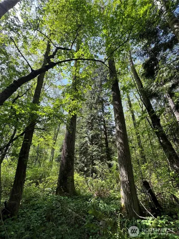 $899,000 | 50-acres 50-acres Lincoln And Shintaffer Road, Blaine, WA 98230