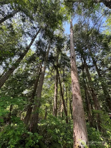 $899,000 | 50-acres 50-acres Lincoln And Shintaffer Road, Blaine, WA 98230