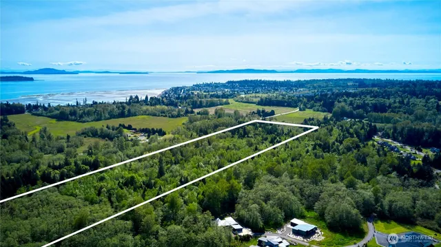 $899,000 | 50-acres 50-acres Lincoln And Shintaffer Road, Blaine, WA 98230