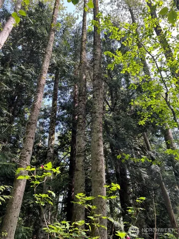 $899,000 | 50-acres 50-acres Lincoln And Shintaffer Road, Blaine, WA 98230