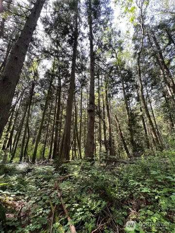 $899,000 | 50-acres 50-acres Lincoln And Shintaffer Road, Blaine, WA 98230