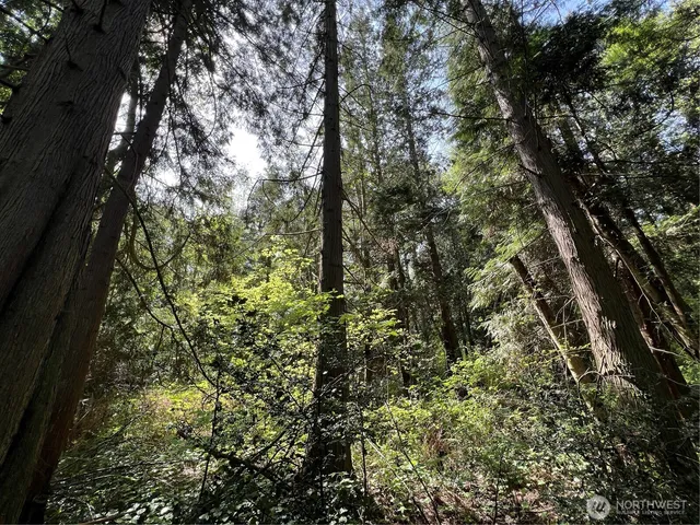 $899,000 | 50-acres 50-acres Lincoln And Shintaffer Road, Blaine, WA 98230