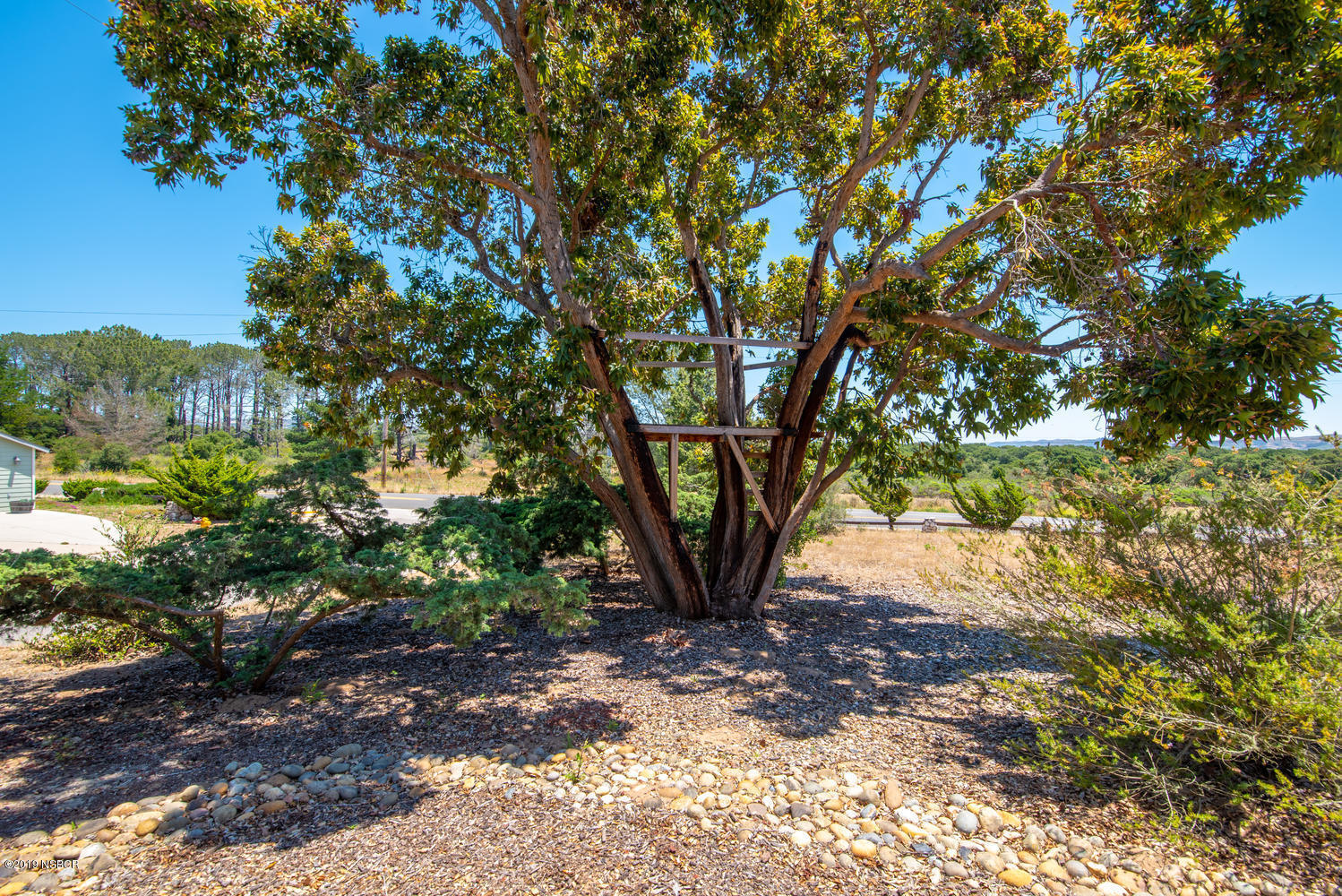 1386 Onstott Road Lompoc, CA 93436 - Photo 31 of 35 a view of a tree
