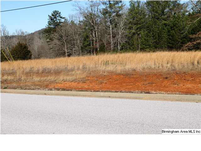 Mount Eagle Lane, Unit 2 Weaver, AL 36277 - Photo 12 of 26