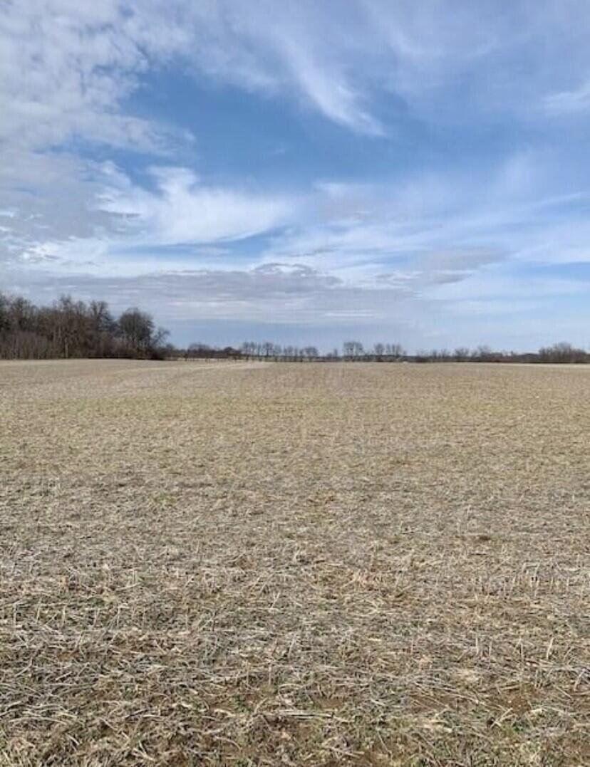 0 Zane Trail Road Circleville, OH 43113 - Photo 2 of 3 lot thumbnail_IMG_2838
